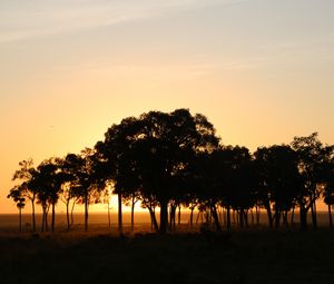 Preview wallpaper trees, horizon, twilight, dark