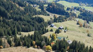 Preview wallpaper trees, houses, aerial view