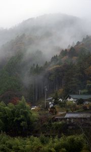 Preview wallpaper trees, houses, fog, nature