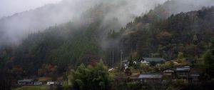 Preview wallpaper trees, houses, fog, nature