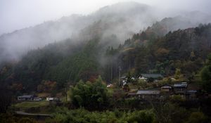 Preview wallpaper trees, houses, fog, nature