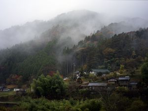 Preview wallpaper trees, houses, fog, nature