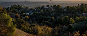 Preview wallpaper trees, houses, hills, birds