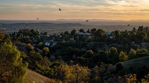 Preview wallpaper trees, houses, hills, birds