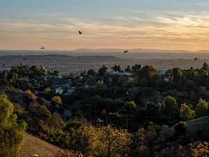 Preview wallpaper trees, houses, hills, birds