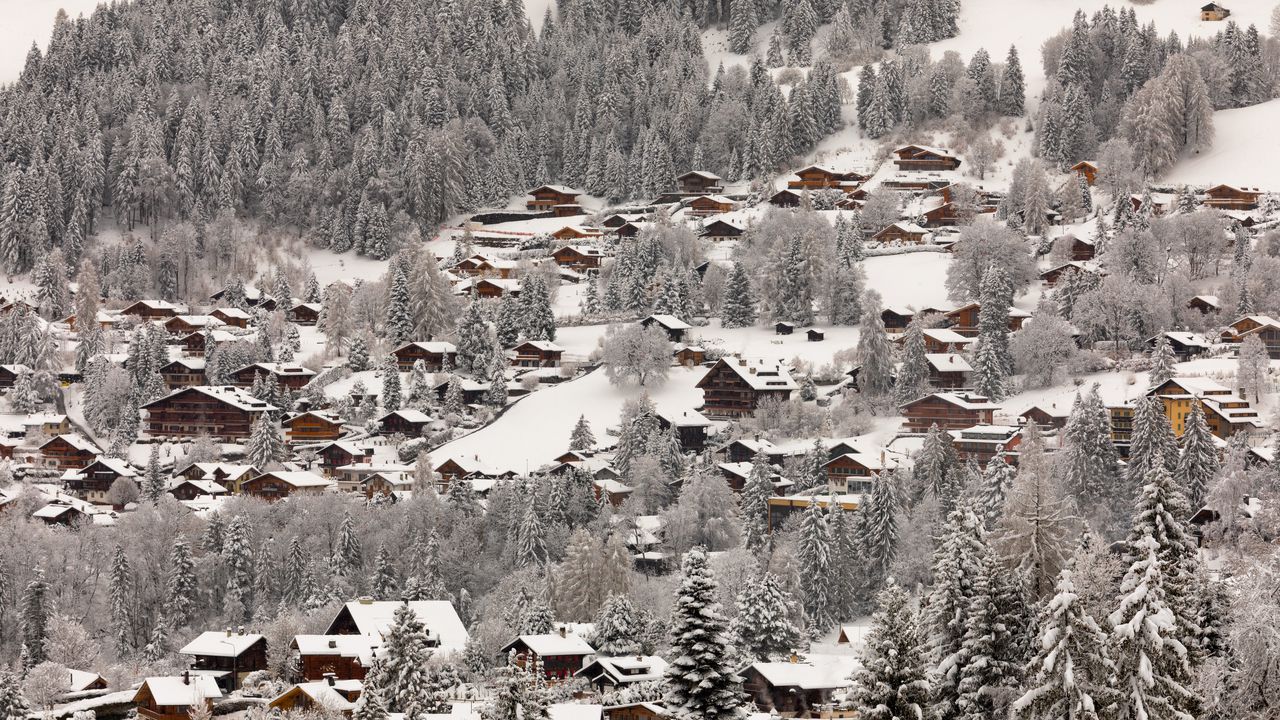 Wallpaper trees, houses, snow, slope, winter