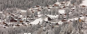 Preview wallpaper trees, houses, snow, slope, winter