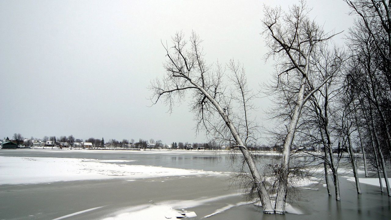 Wallpaper trees, ice, lake, winter, frosts, november