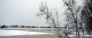 Preview wallpaper trees, ice, lake, winter, frosts, november