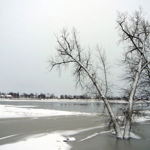 Preview wallpaper trees, ice, lake, winter, frosts, november