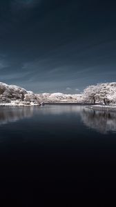 Preview wallpaper trees in snow, water, sky, landscape, nature