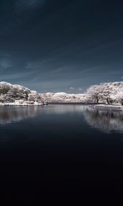 Preview wallpaper trees in snow, water, sky, landscape, nature