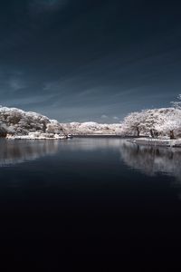 Preview wallpaper trees in snow, water, sky, landscape, nature