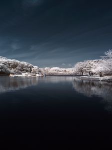 Preview wallpaper trees in snow, water, sky, landscape, nature