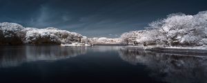 Preview wallpaper trees in snow, water, sky, landscape, nature