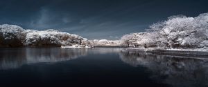 Preview wallpaper trees in snow, water, sky, landscape, nature