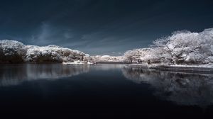 Preview wallpaper trees in snow, water, sky, landscape, nature
