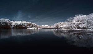 Preview wallpaper trees in snow, water, sky, landscape, nature