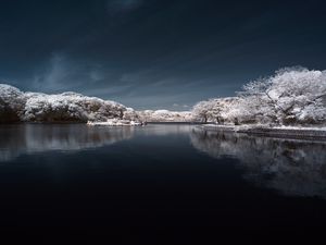 Preview wallpaper trees in snow, water, sky, landscape, nature