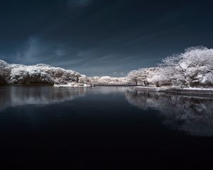 Preview wallpaper trees in snow, water, sky, landscape, nature
