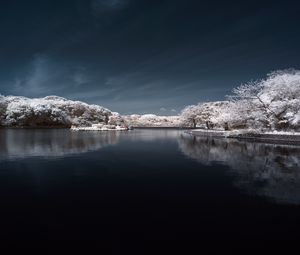 Preview wallpaper trees in snow, water, sky, landscape, nature