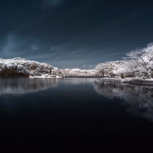 Preview wallpaper trees in snow, water, sky, landscape, nature
