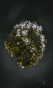 Preview wallpaper trees, island, aerial view, seasons