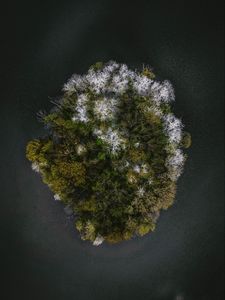 Preview wallpaper trees, island, aerial view, seasons