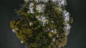 Preview wallpaper trees, island, aerial view, seasons