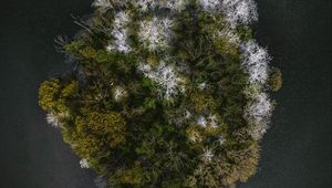 Preview wallpaper trees, island, aerial view, seasons