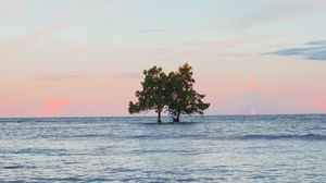 Preview wallpaper trees, island, sea, water, landscape