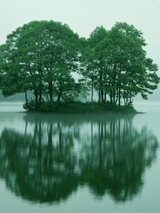 Preview wallpaper trees, islet, lake, fog, water, morning, summer