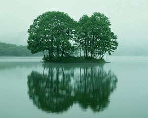 Preview wallpaper trees, islet, lake, fog, water, morning, summer