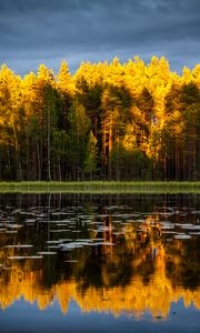 Preview wallpaper trees, lake, autumn, reflections