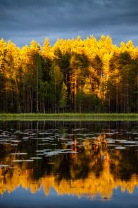 Preview wallpaper trees, lake, autumn, reflections
