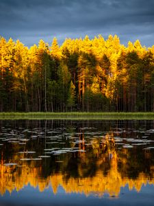 Preview wallpaper trees, lake, autumn, reflections