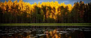 Preview wallpaper trees, lake, autumn, reflections