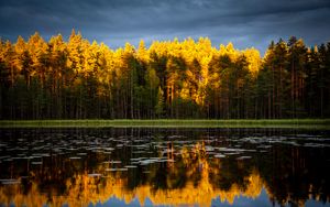 Preview wallpaper trees, lake, autumn, reflections