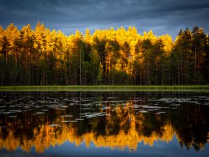 Preview wallpaper trees, lake, autumn, reflections