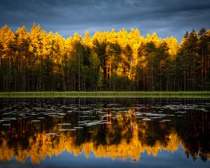 Preview wallpaper trees, lake, autumn, reflections