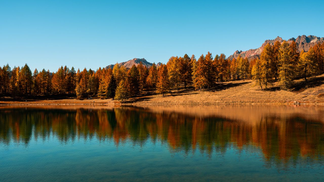 Wallpaper trees, lake, autumn, reflection