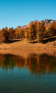 Preview wallpaper trees, lake, autumn, reflection