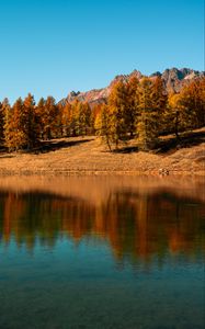 Preview wallpaper trees, lake, autumn, reflection