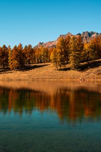 Preview wallpaper trees, lake, autumn, reflection