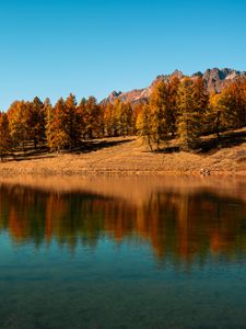 Preview wallpaper trees, lake, autumn, reflection