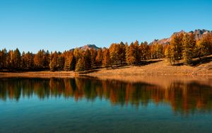 Preview wallpaper trees, lake, autumn, reflection