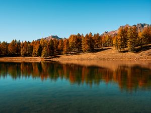 Preview wallpaper trees, lake, autumn, reflection