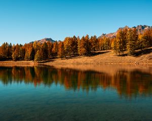 Preview wallpaper trees, lake, autumn, reflection