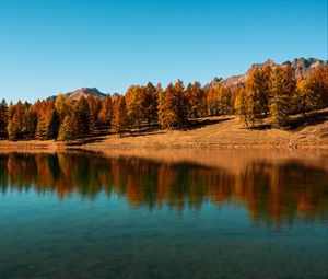 Preview wallpaper trees, lake, autumn, reflection