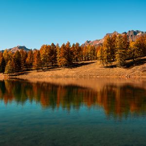 Preview wallpaper trees, lake, autumn, reflection